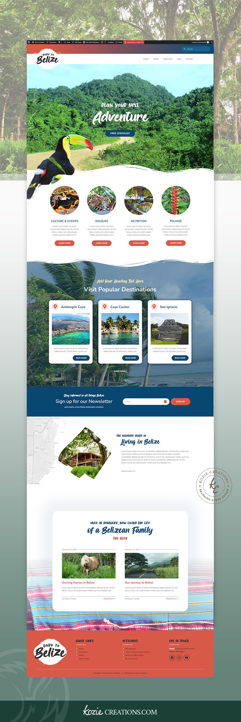 Dare to Belize Website Design